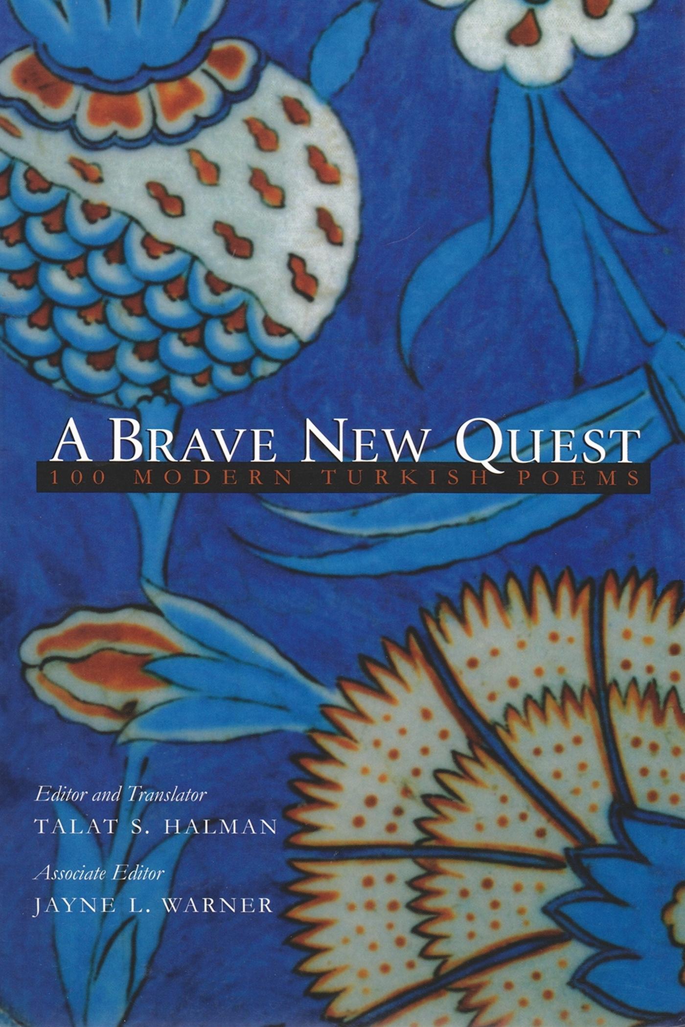 Vorderes Coverbild A Brave New Quest