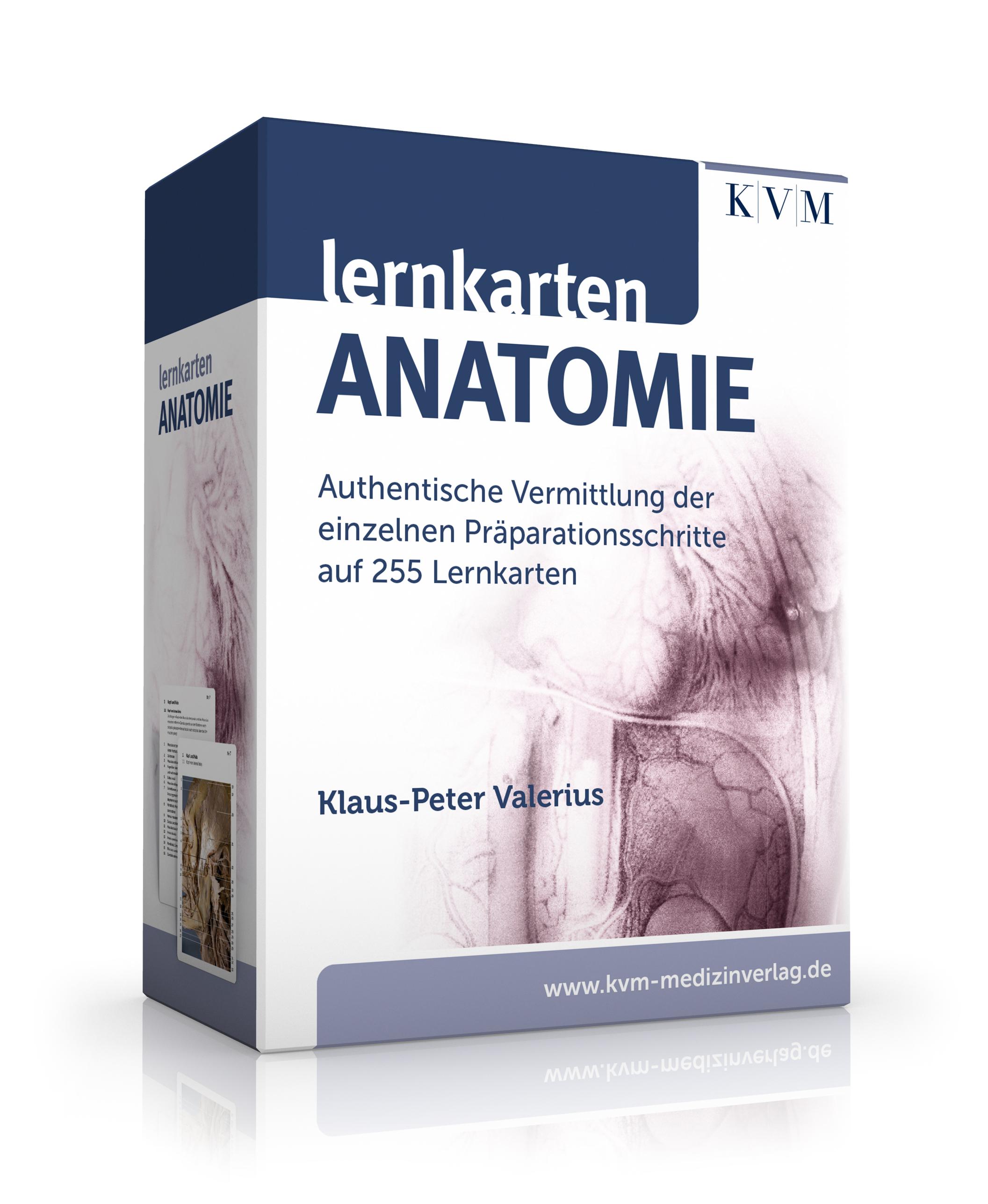 Vorderes Coverbild Lernkarten Anatomie