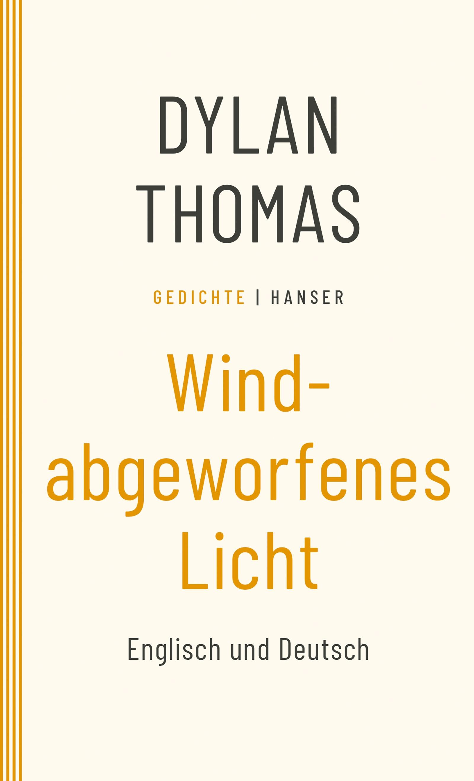 Vorderes Coverbild Windabgeworfenes Licht