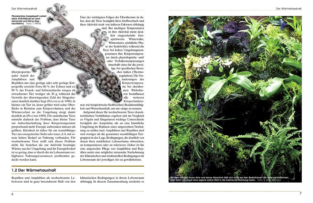 Beispielinhalt (Bild) Terrarieneinrichtung