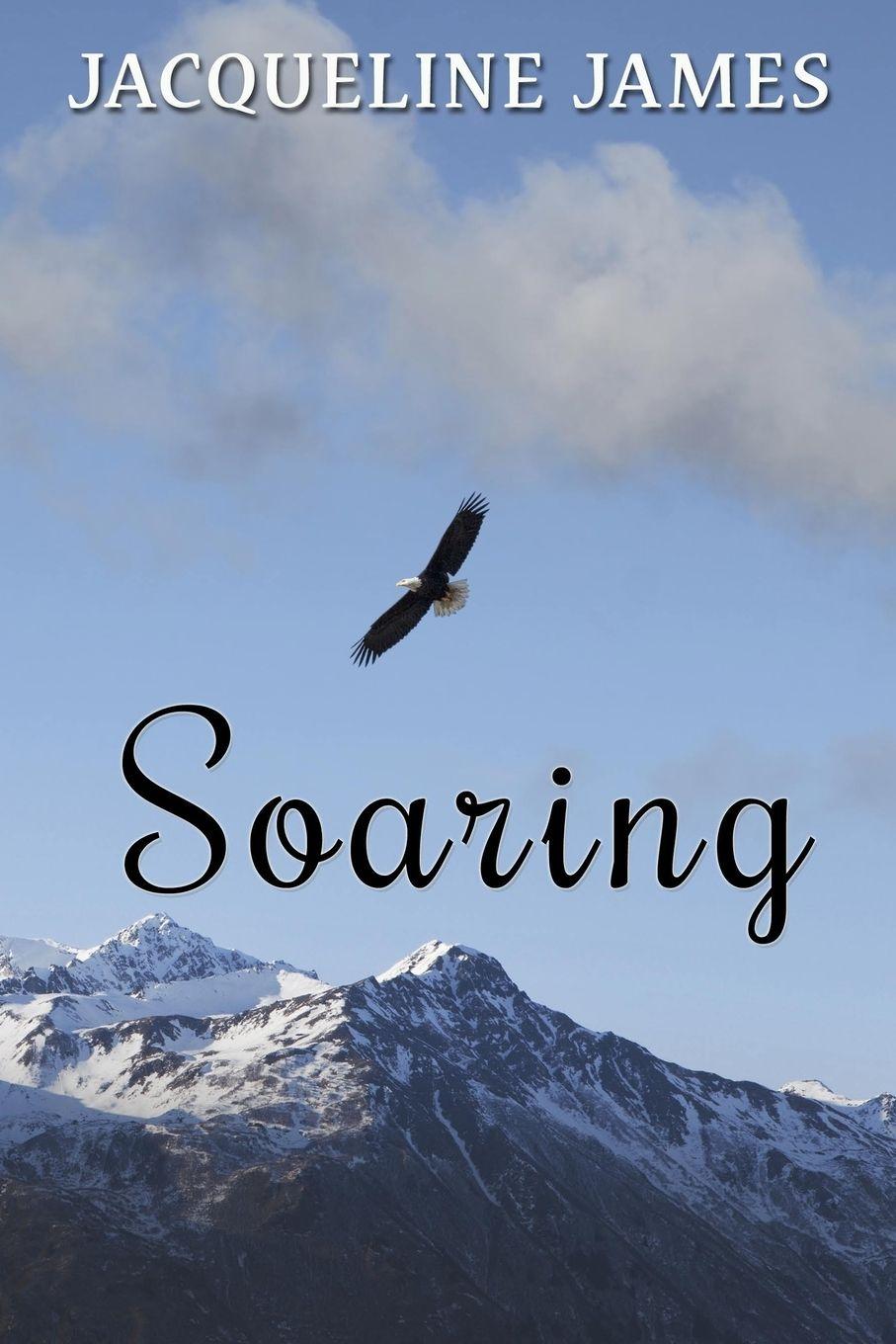 Vorderes Coverbild Soaring