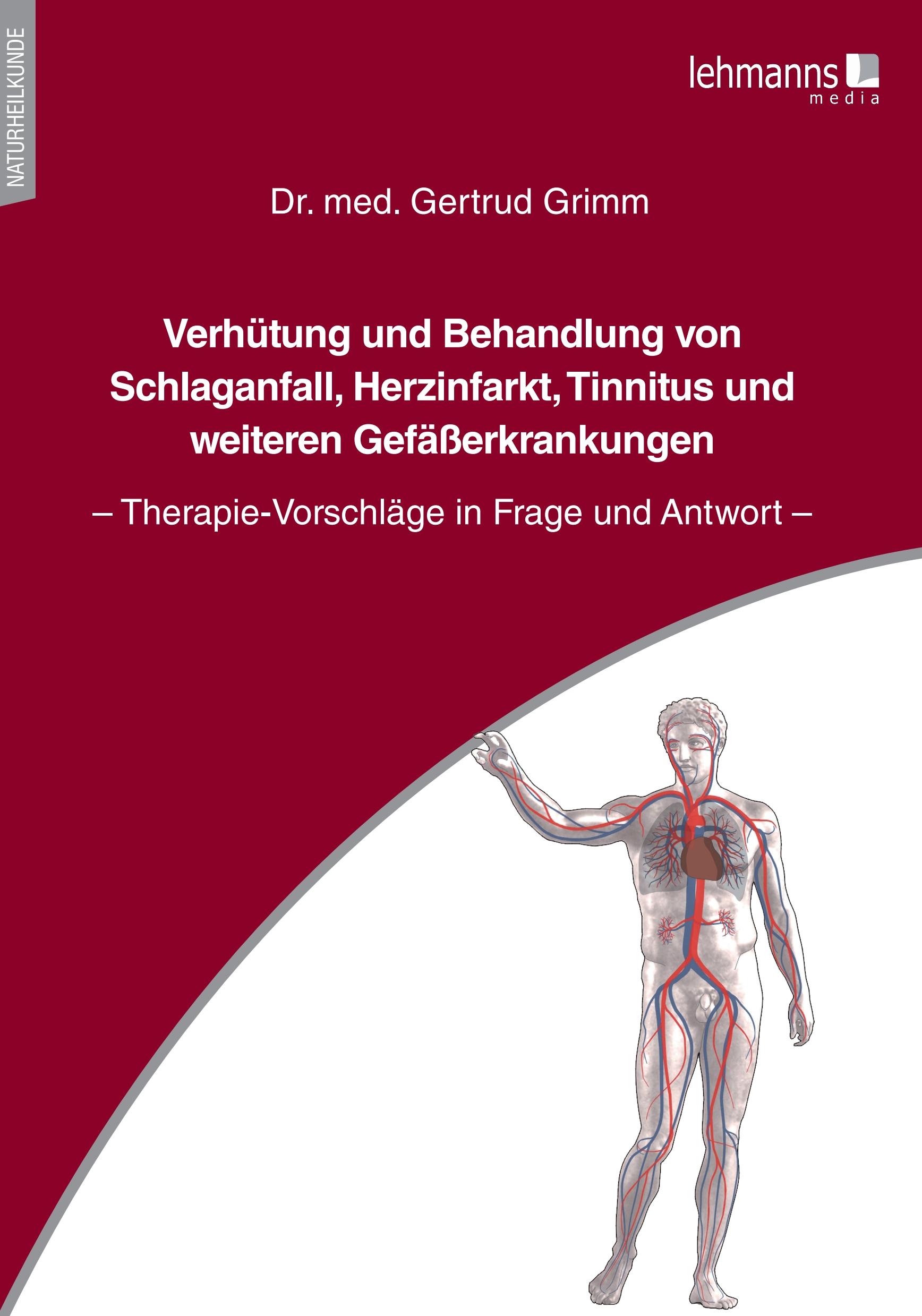 Vorderes Coverbild Verhütung und Behandlung von Schlaganfall, Herzinfarkt, Tinnitus und weiteren Gefäßerkrankungen