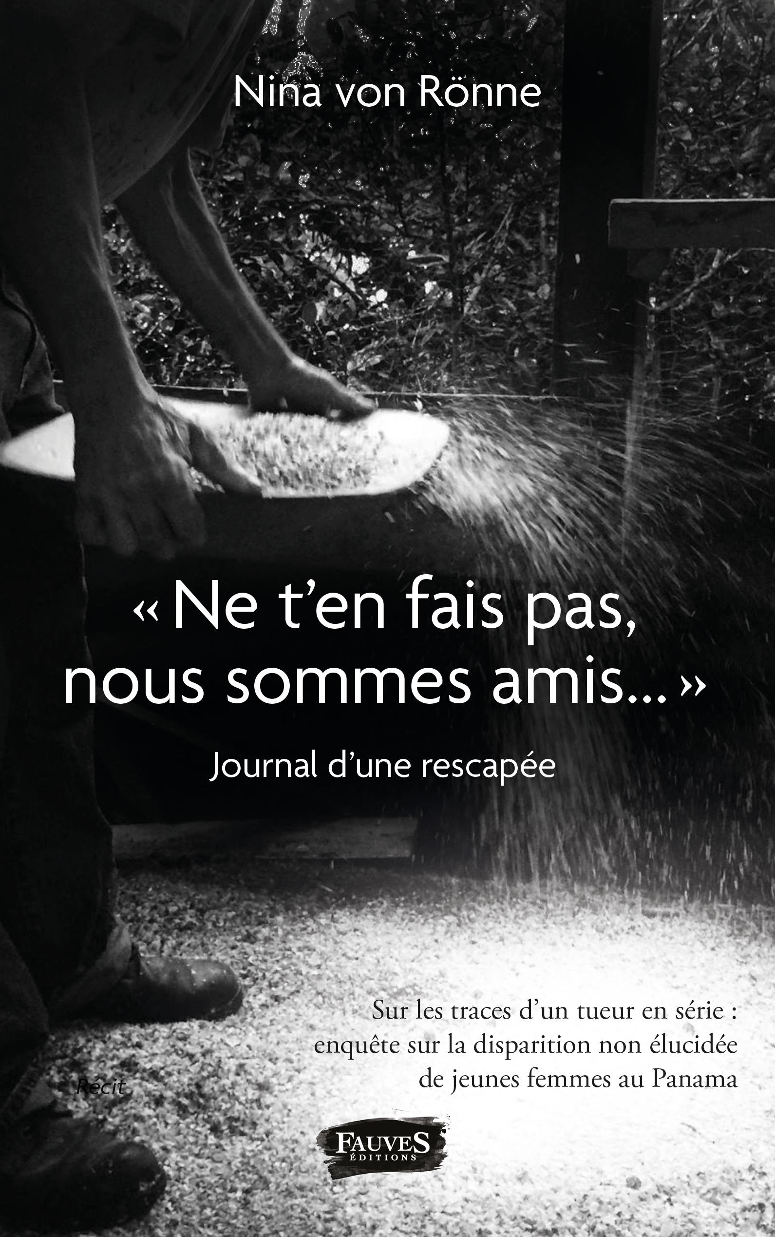 Vorderes Coverbild "Ne t'en fais pas, nous sommes amis..."