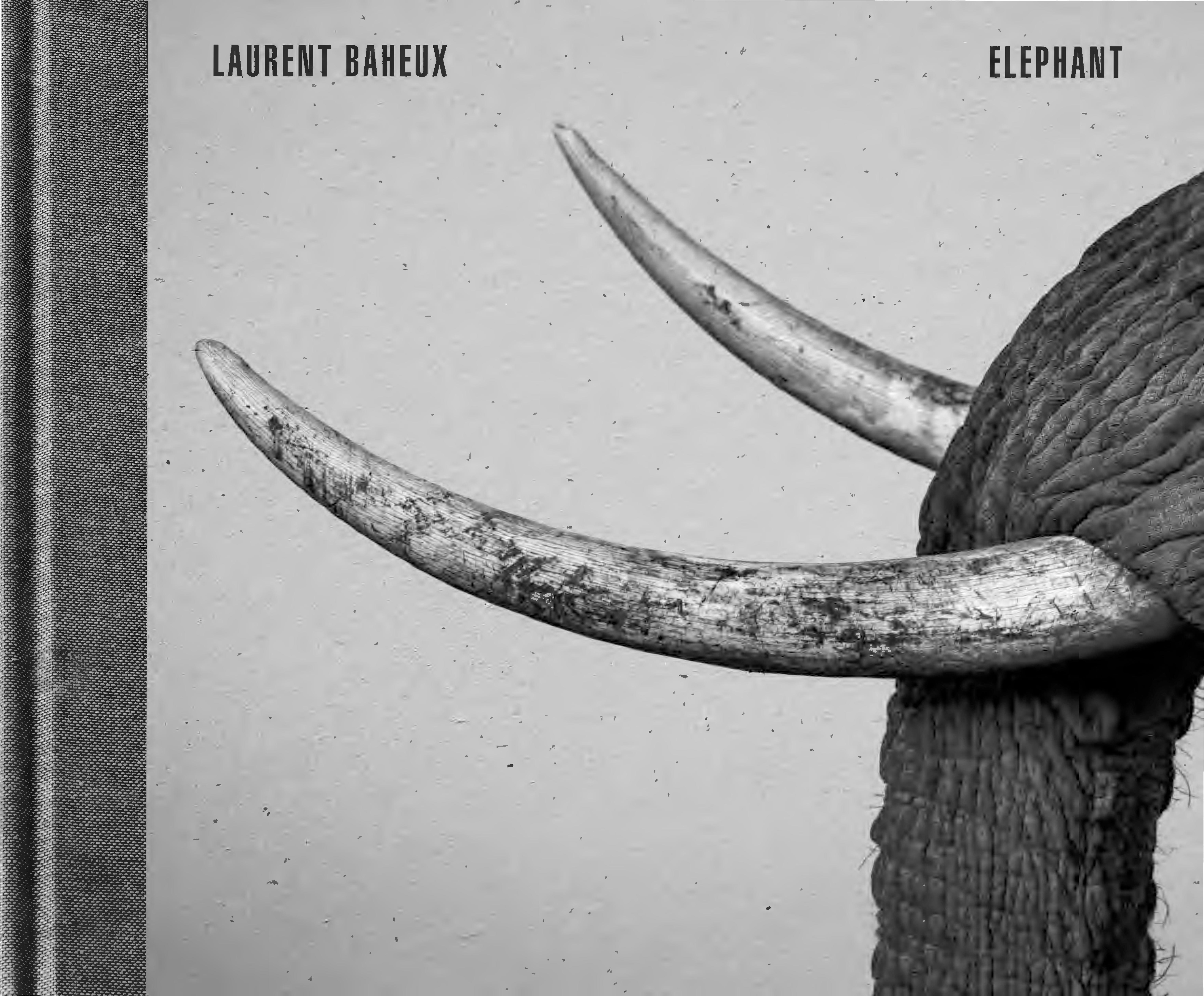 Vorderes Coverbild Elephant