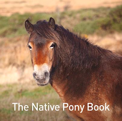 Vorderes Coverbild The Native Pony Book
