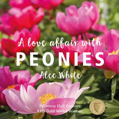 Vorderes Coverbild A Love Affair with Peonies