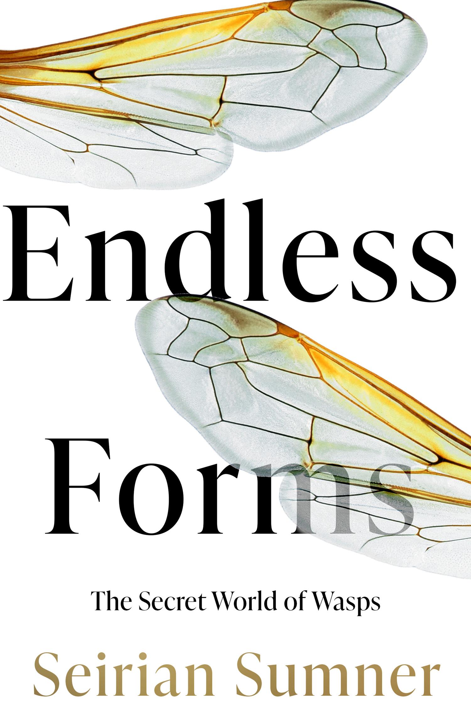 Vorderes Coverbild Endless Forms