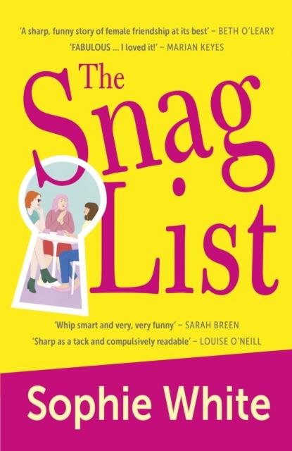 Vorderes Coverbild The Snag List