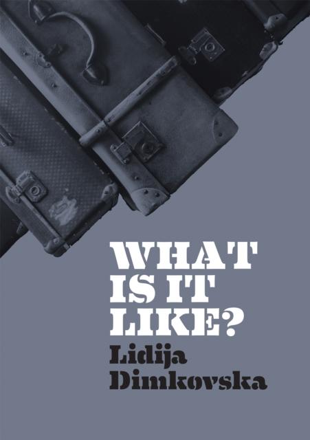 Vorderes Coverbild What Is It Like?