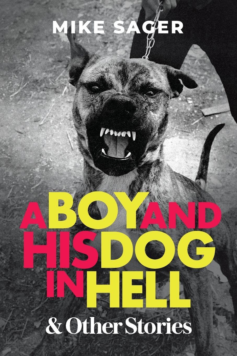 Vorderes Coverbild A Boy and His Dog in Hell