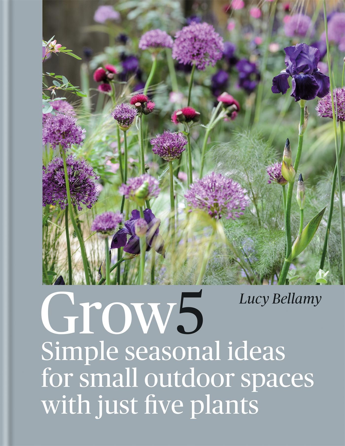 Vorderes Coverbild Grow 5