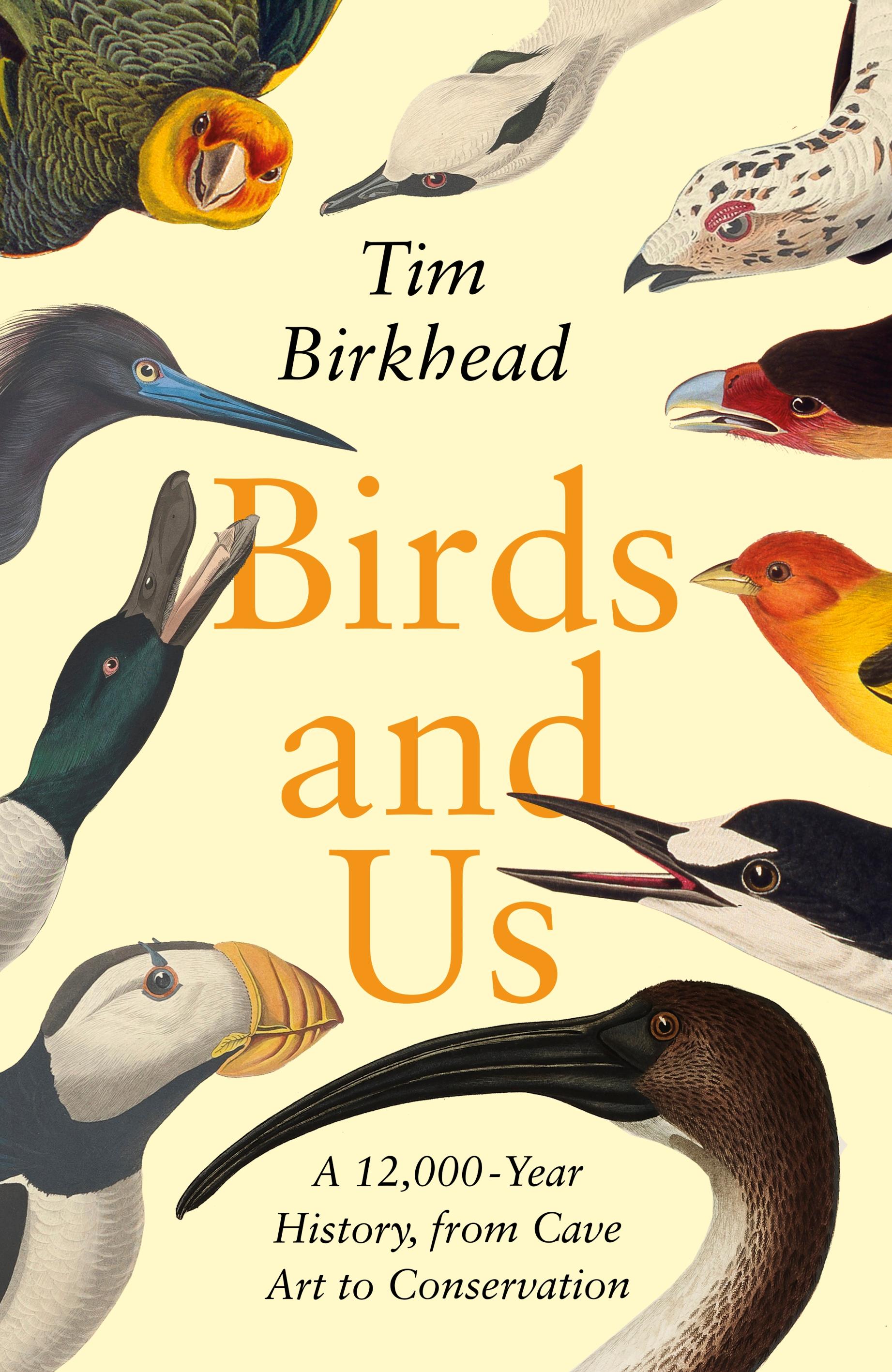 Vorderes Coverbild Birds and Us