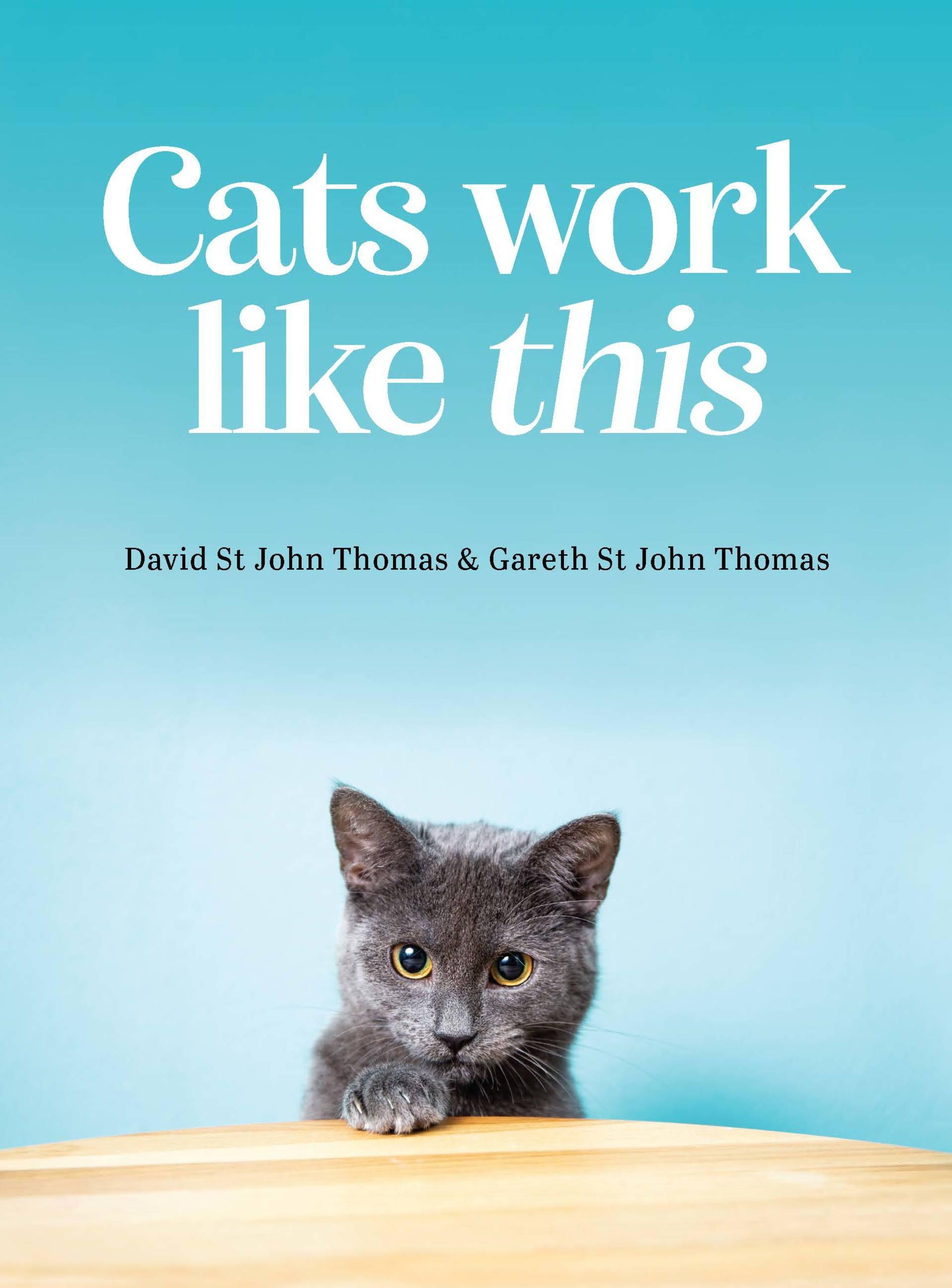 Vorderes Coverbild Cats Work Like This