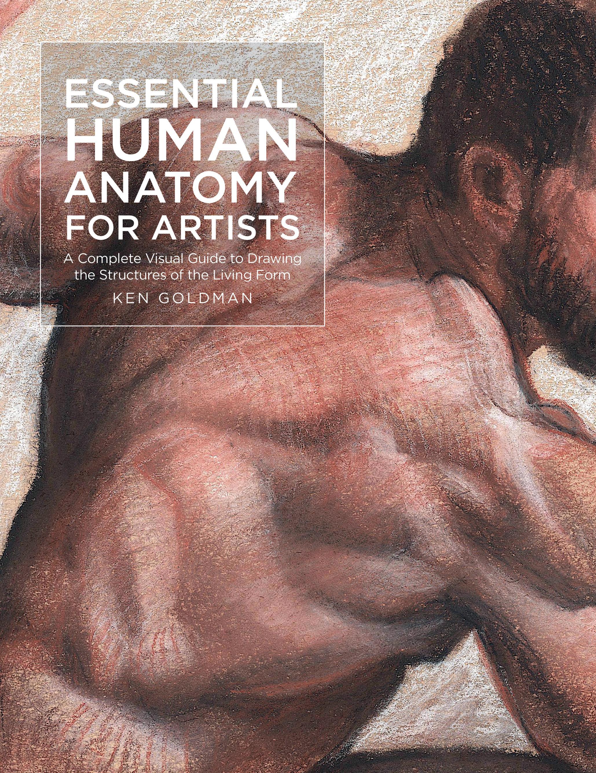 Vorderes Coverbild Essential Human Anatomy for Artists
