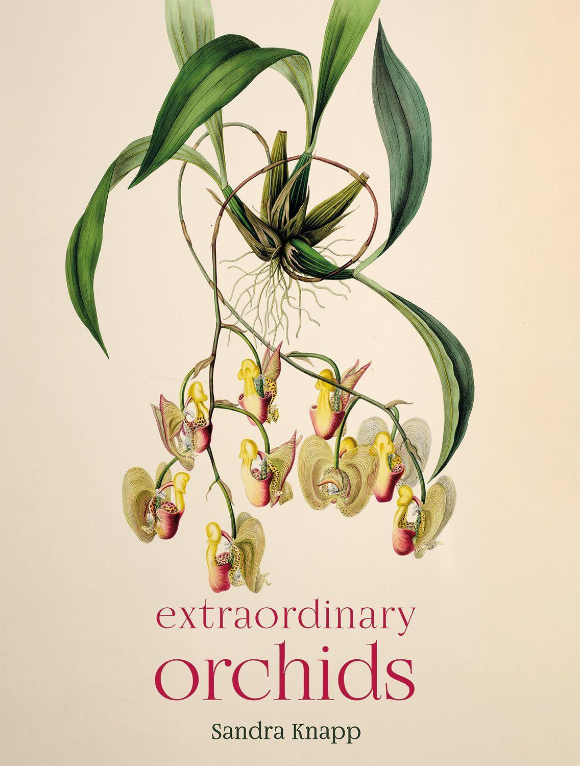 Vorderes Coverbild Extraordinary Orchids