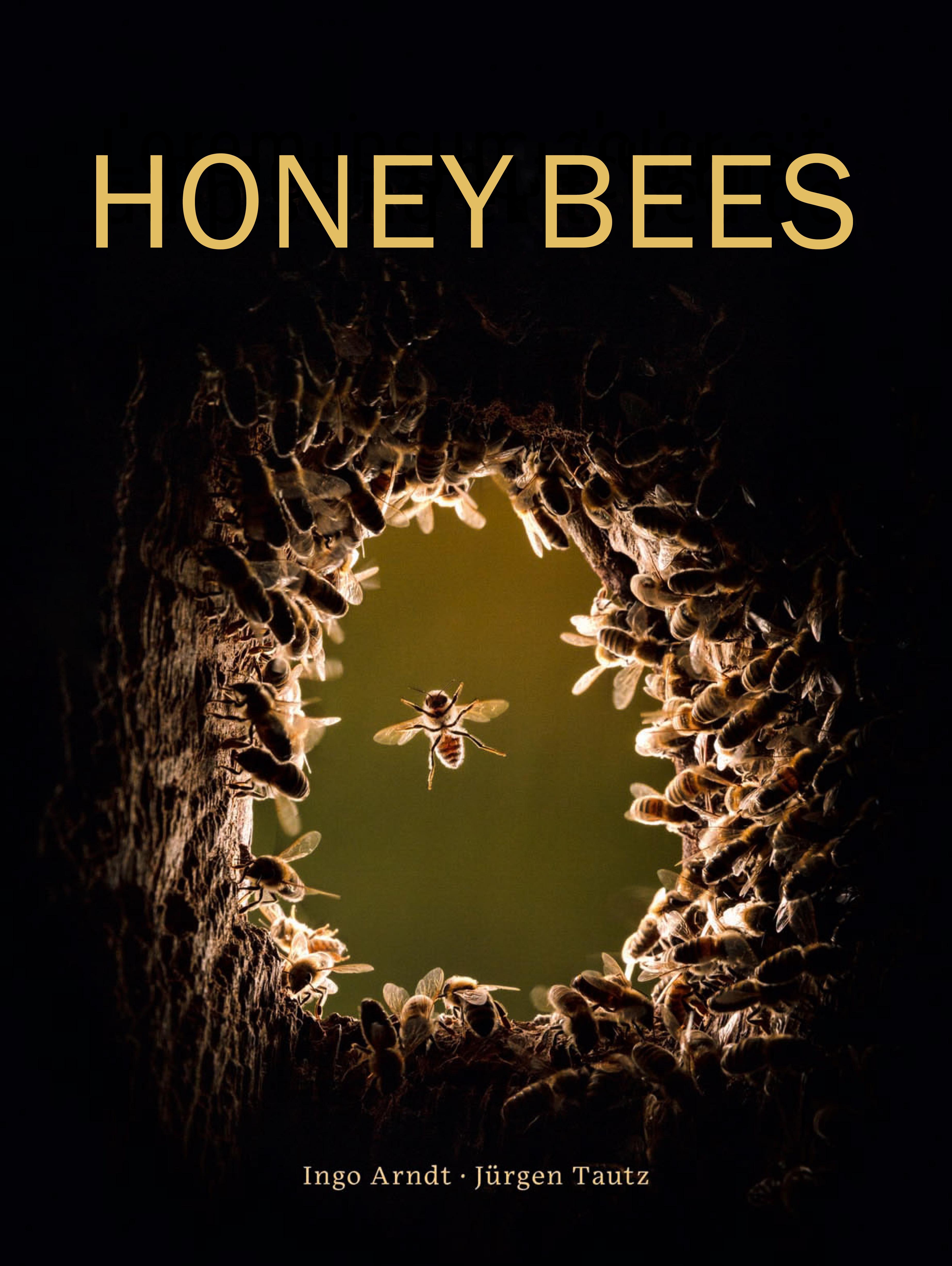 Vorderes Coverbild Honey Bees