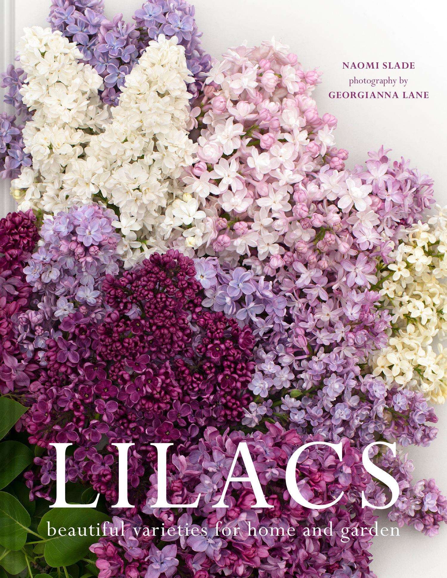 Vorderes Coverbild Lilacs