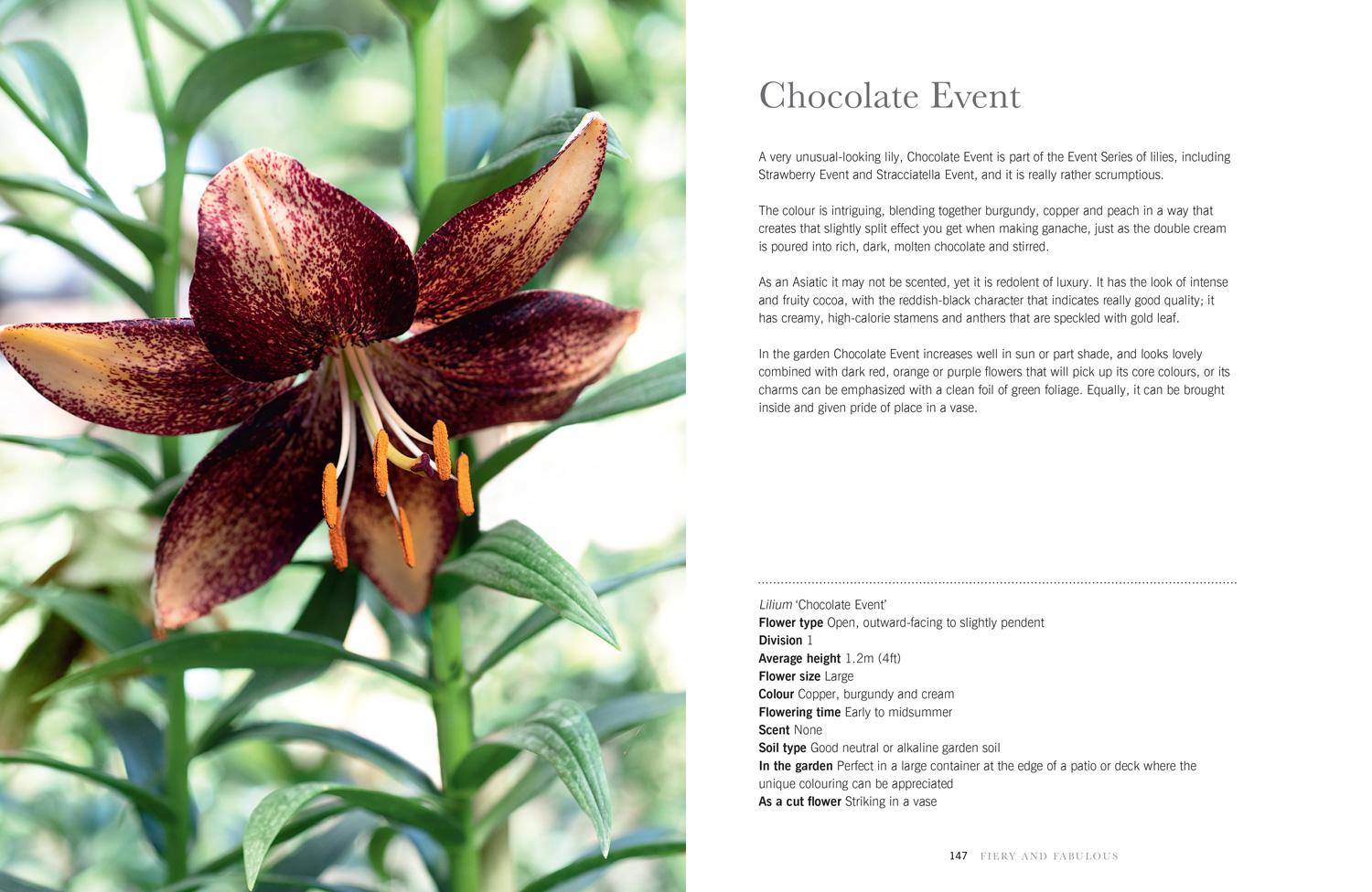 Beispielinhalt (Bild) Lilies