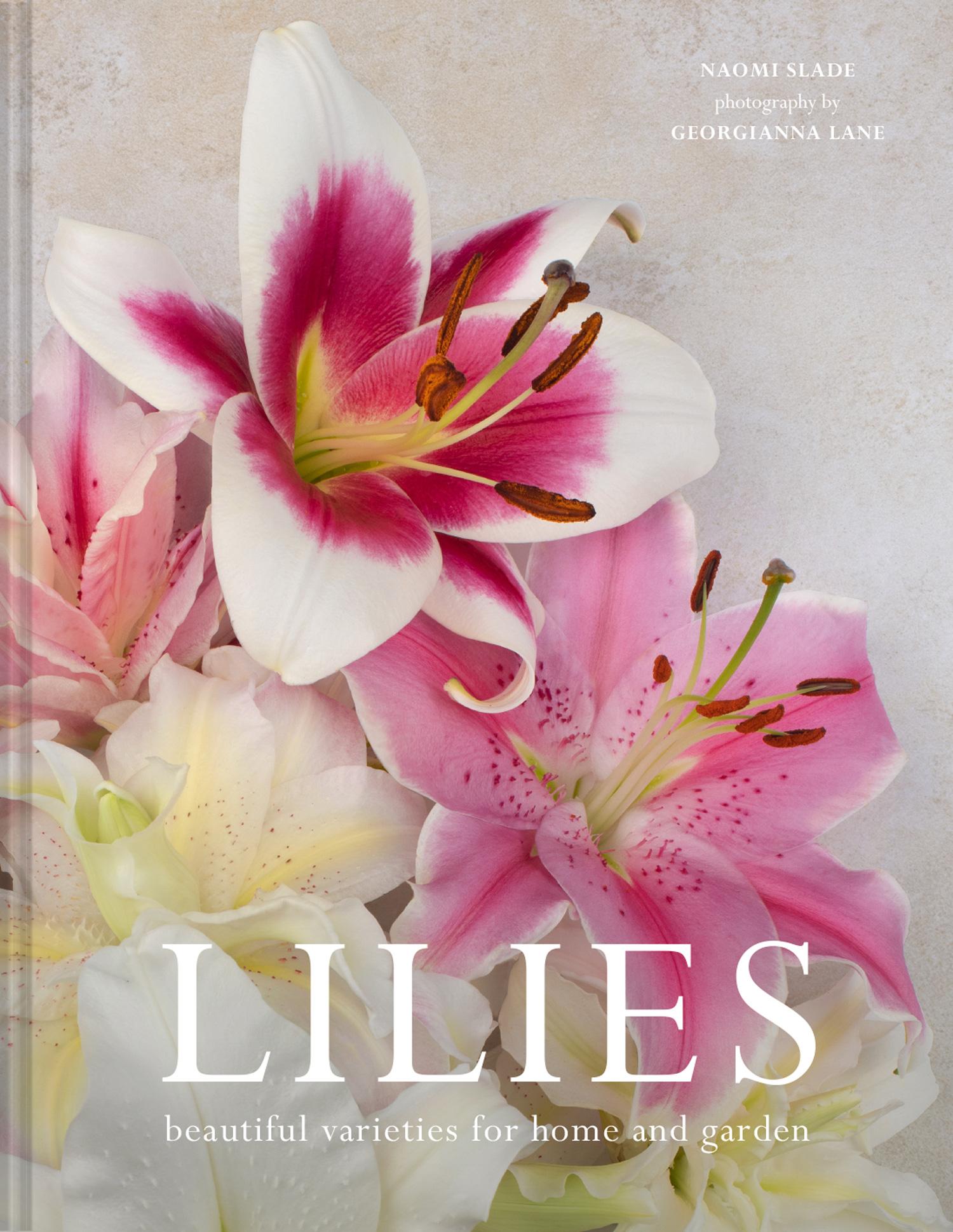 Vorderes Coverbild Lilies