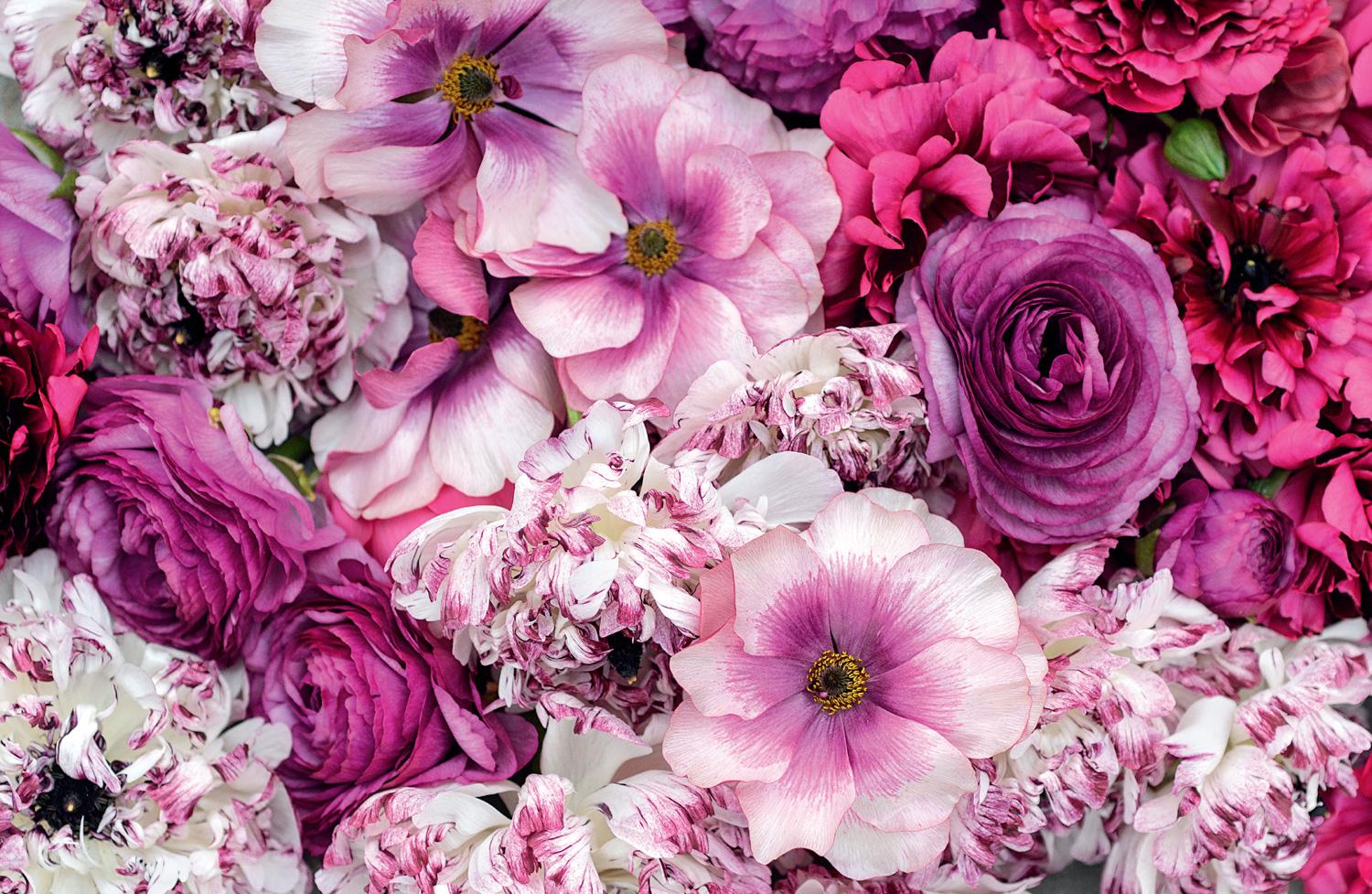 Beispielinhalt (Bild) Ranunculus