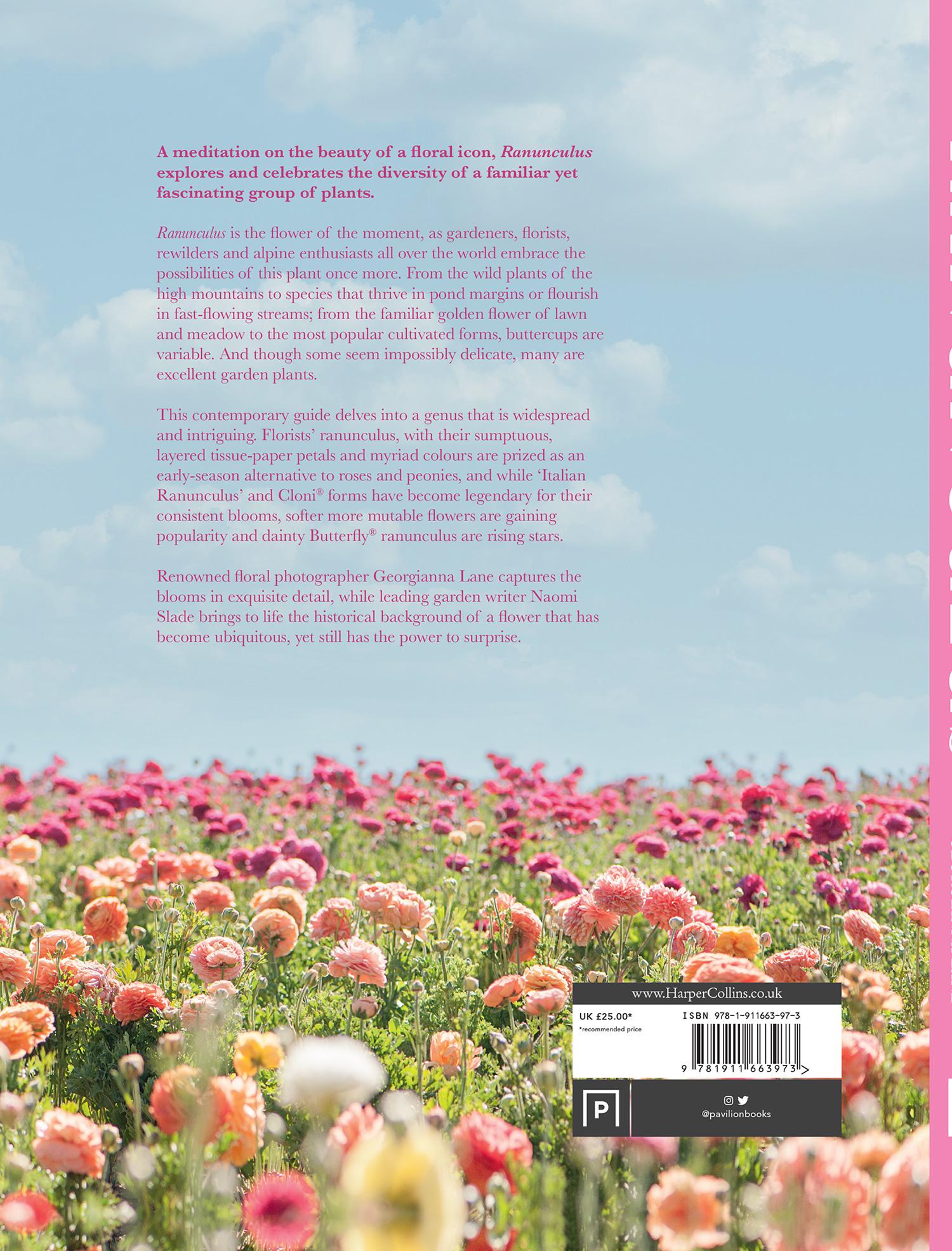 Rückseitencover Ranunculus