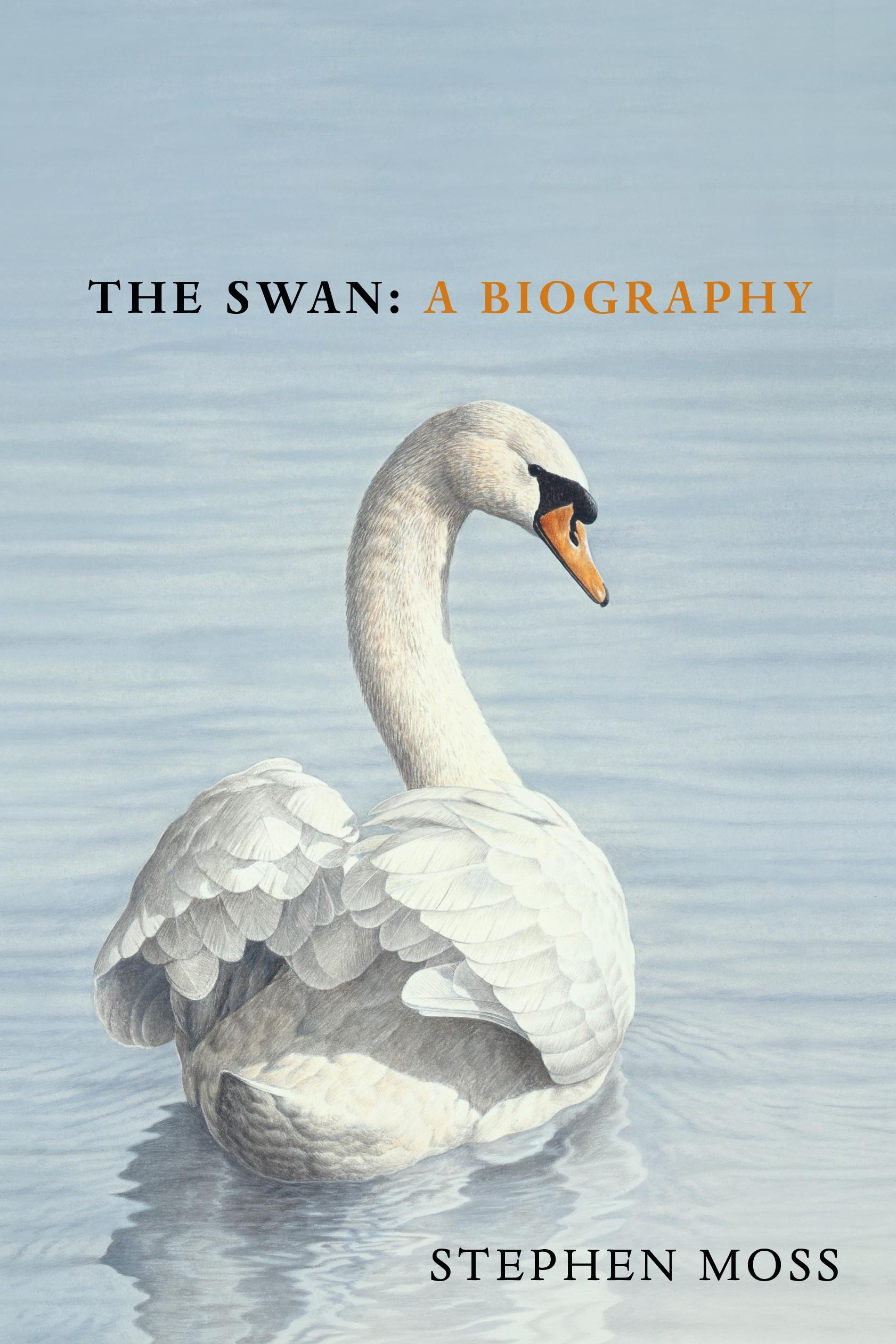 Vorderes Coverbild The Swan