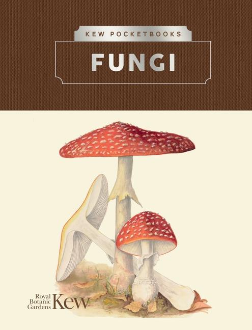 Vorderes Coverbild Kew Pocketbooks: Fungi
