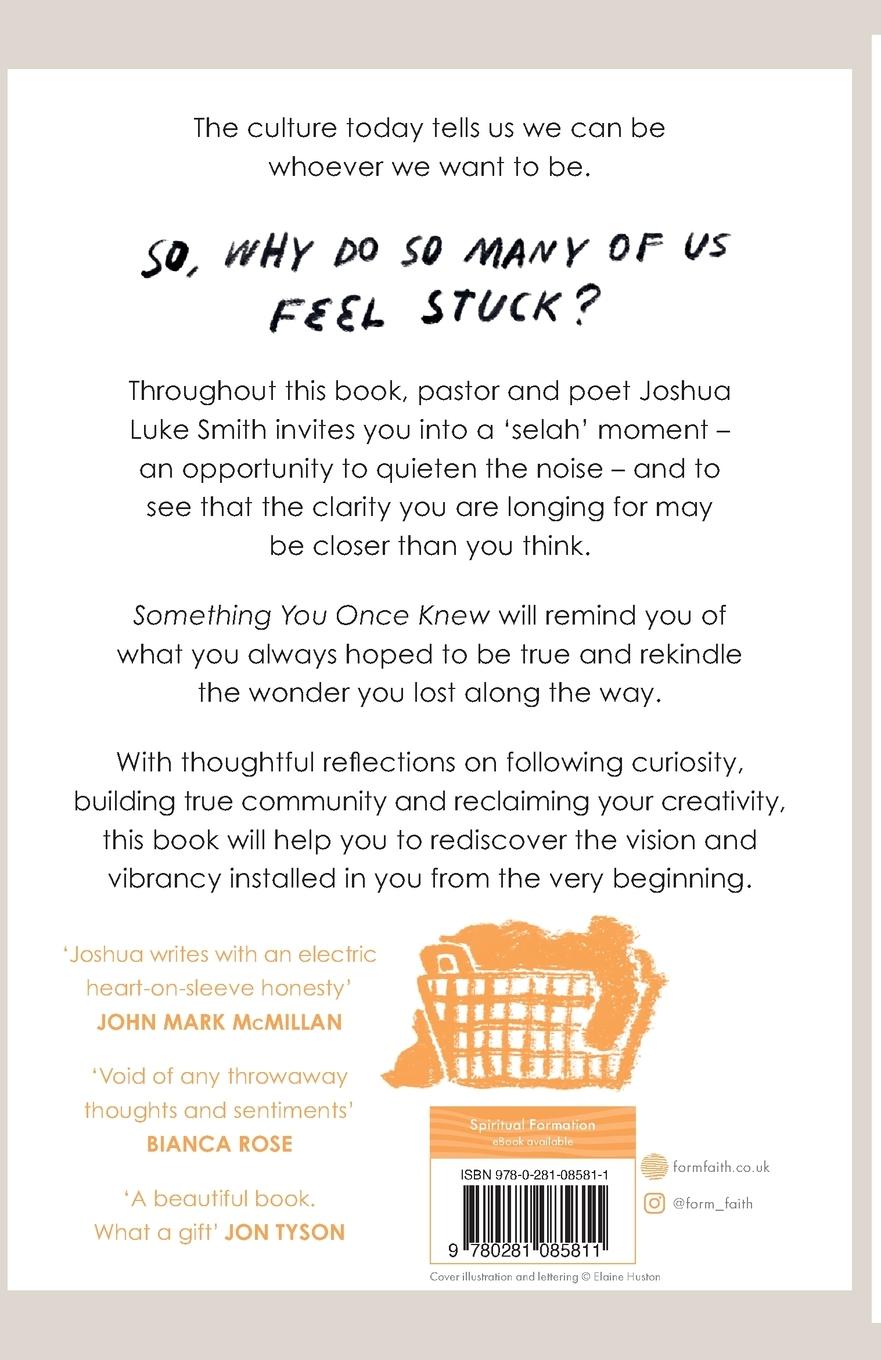 Rückseitencover Something You Once Knew