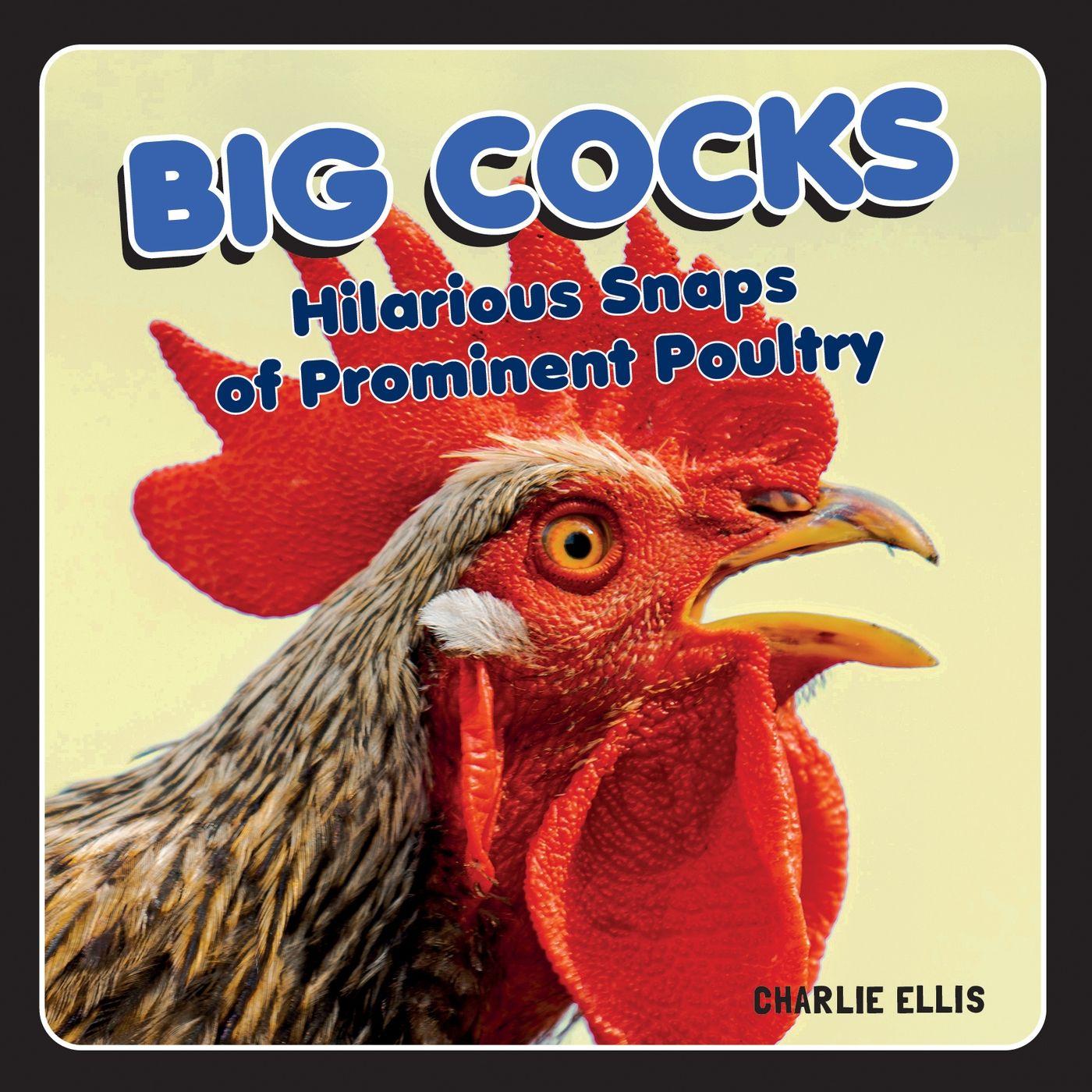 Vorderes Coverbild Big Cocks