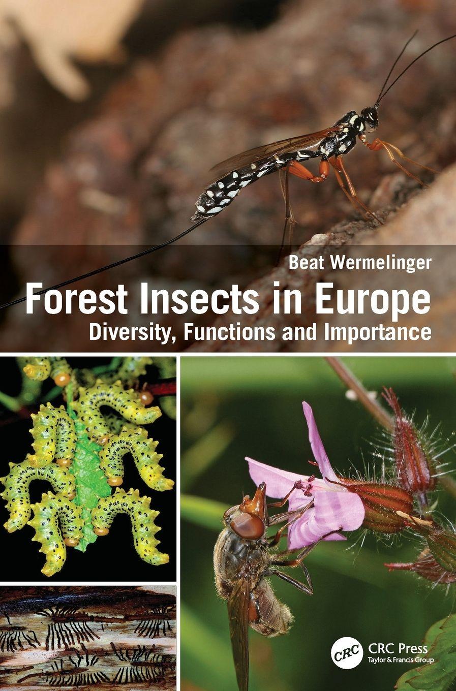 Vorderes Coverbild Forest Insects in Europe