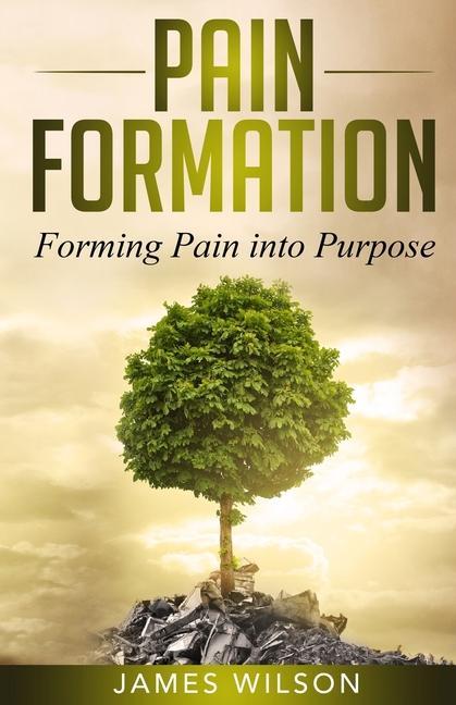 Vorderes Coverbild Pain Formation: Forming Pain into Purpose