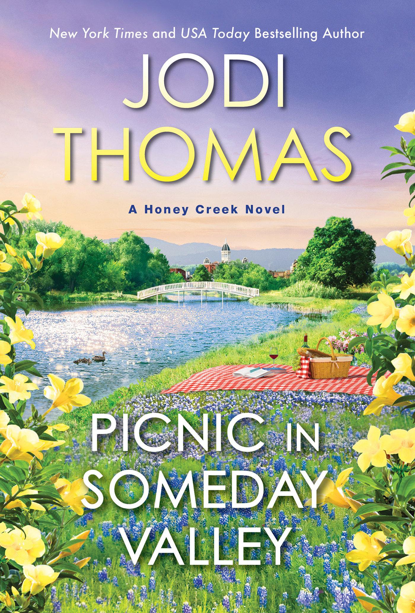 Vorderes Coverbild Picnic in Someday Valley