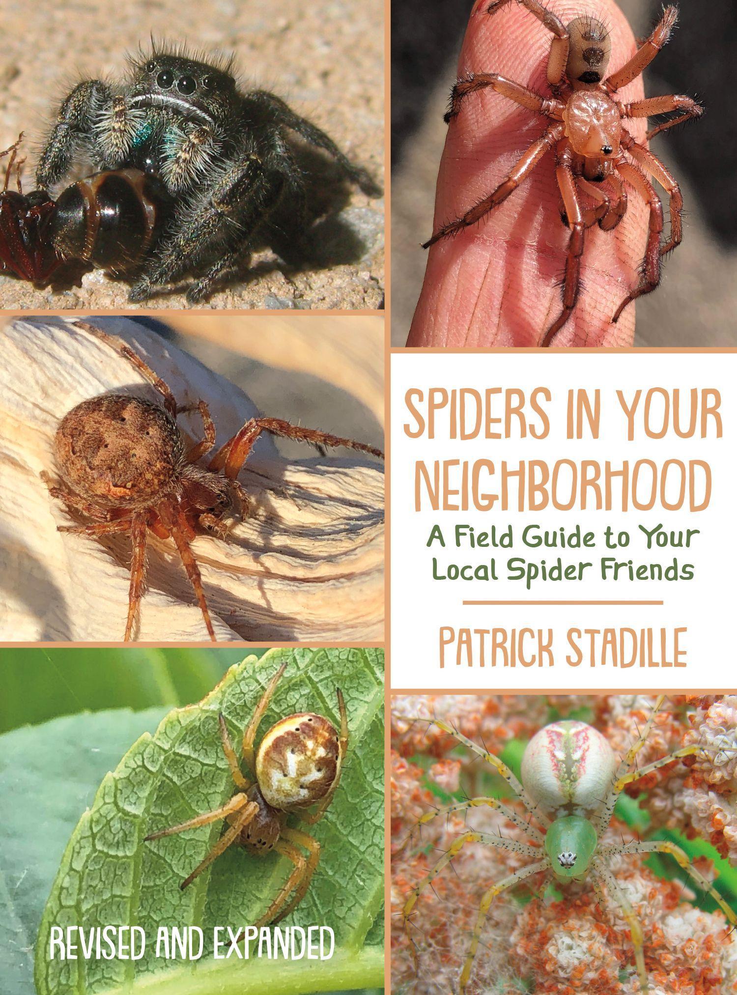 Vorderes Coverbild Spiders in Your Neighborhood