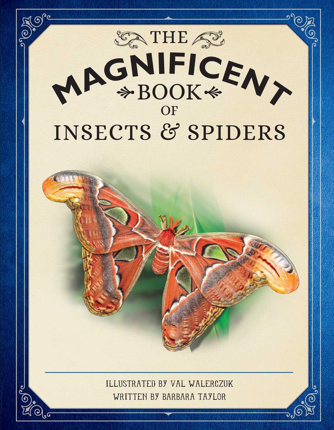 Vorderes Coverbild The Magnificent Book of Insects and Spiders