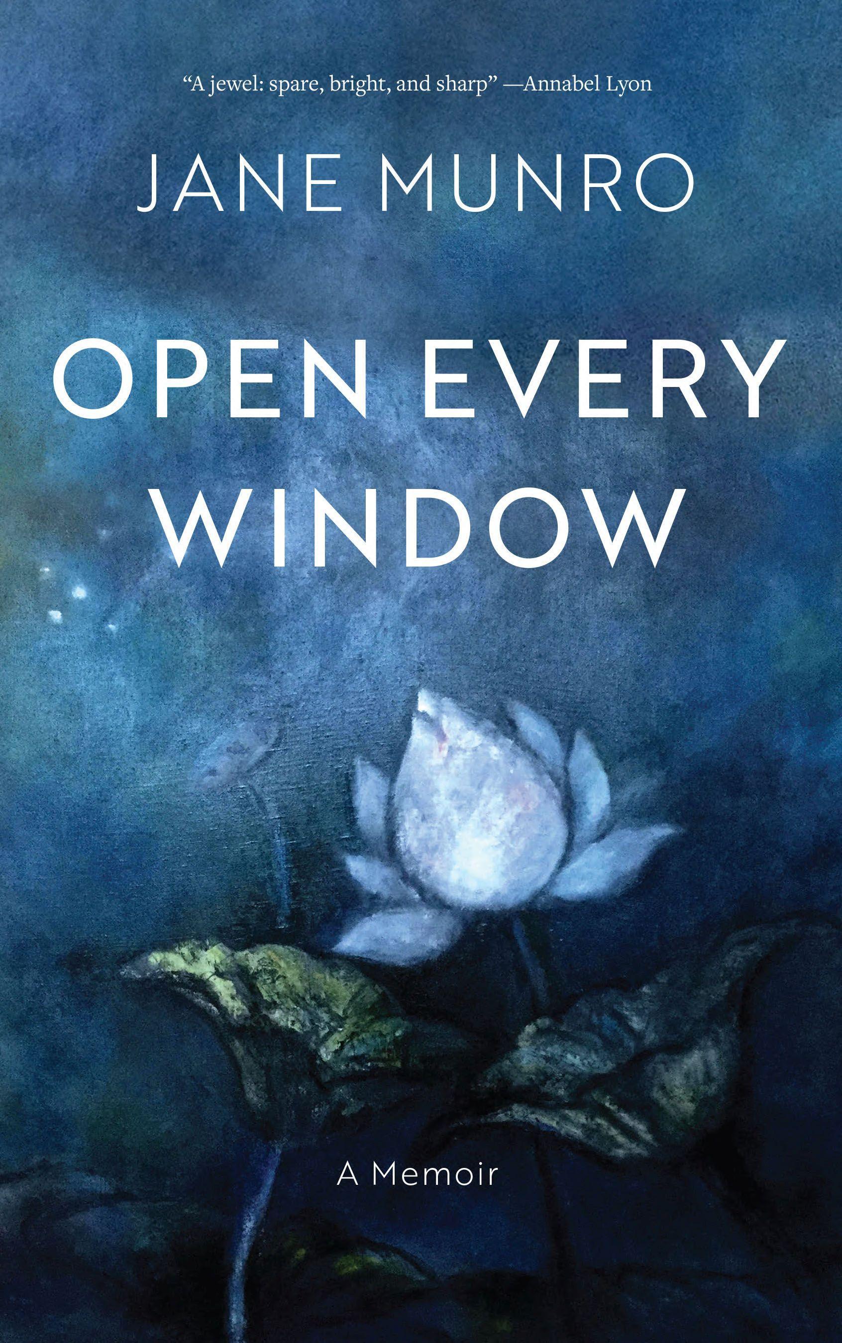 Vorderes Coverbild Open Every Window