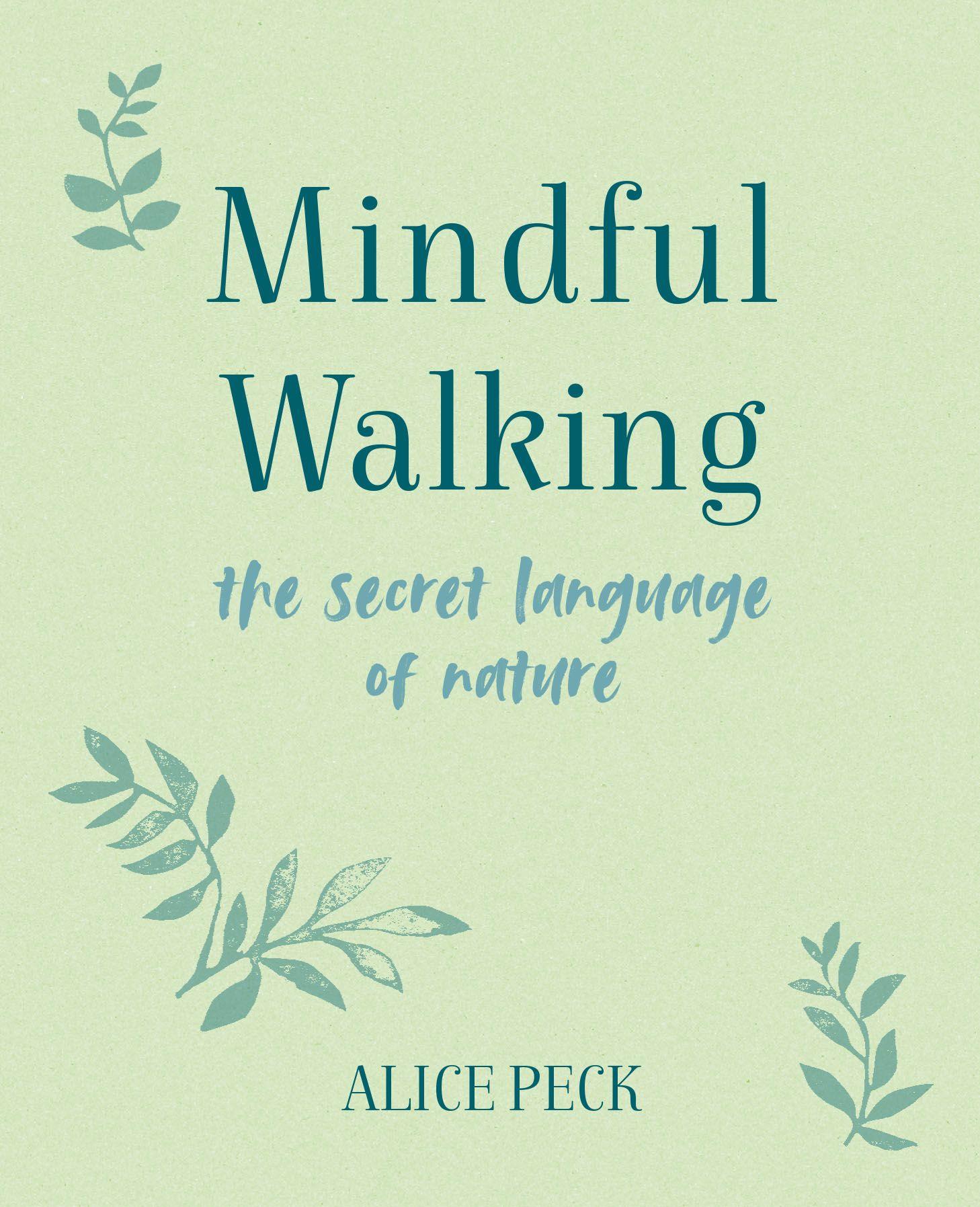 Vorderes Coverbild Mindful Walking