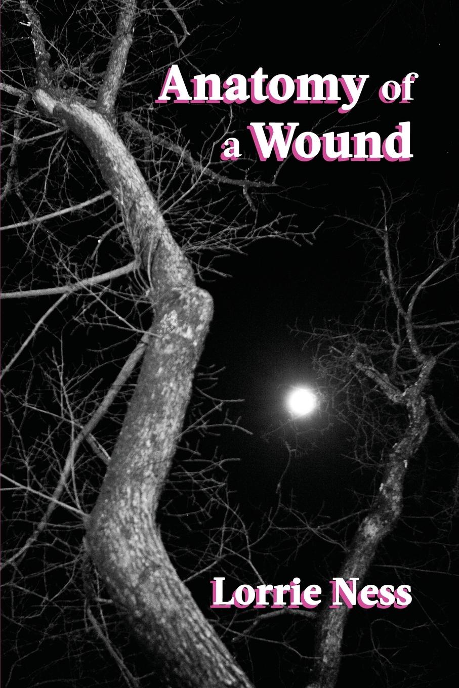 Vorderes Coverbild Anatomy of a Wound