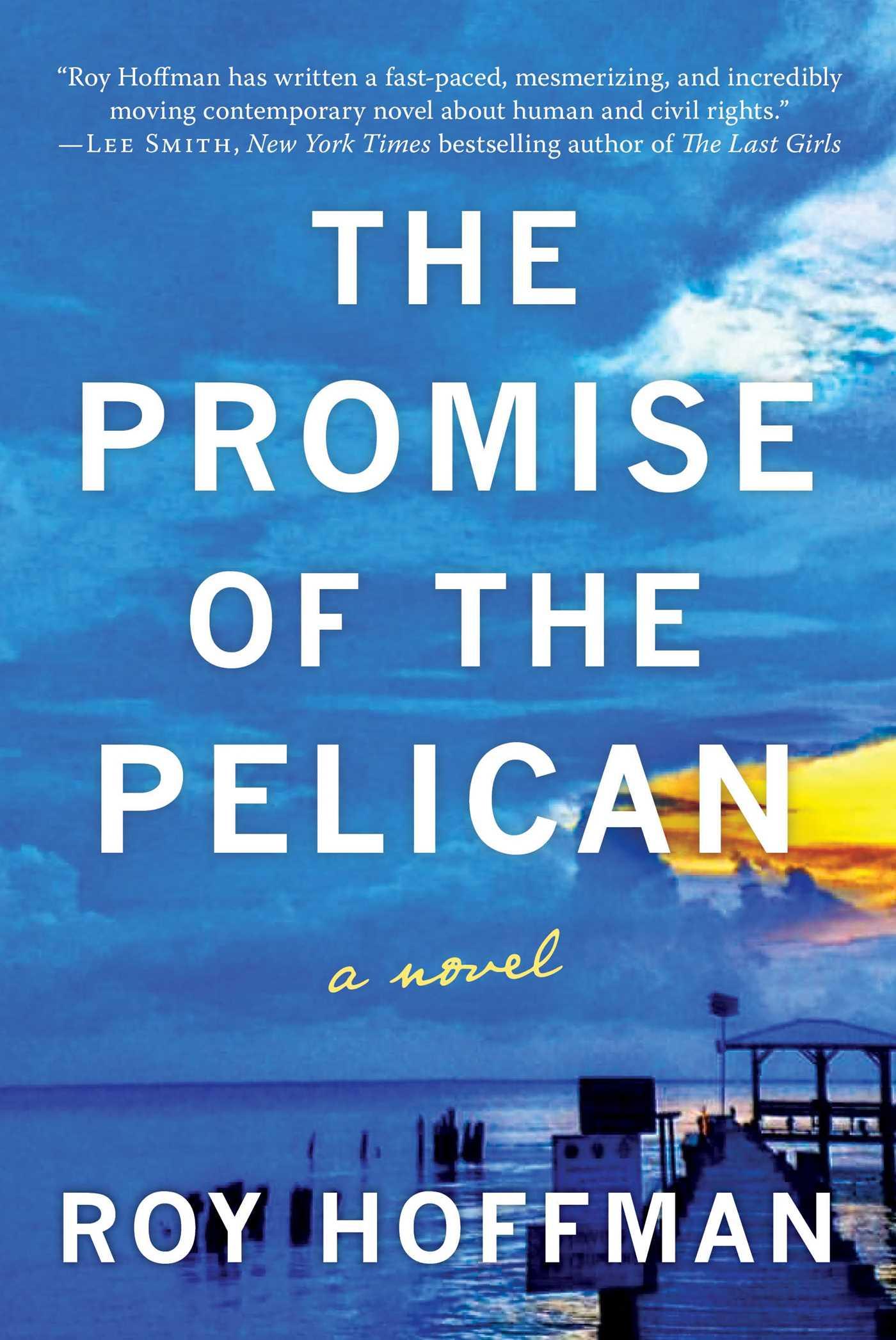 Vorderes Coverbild The Promise of the Pelican