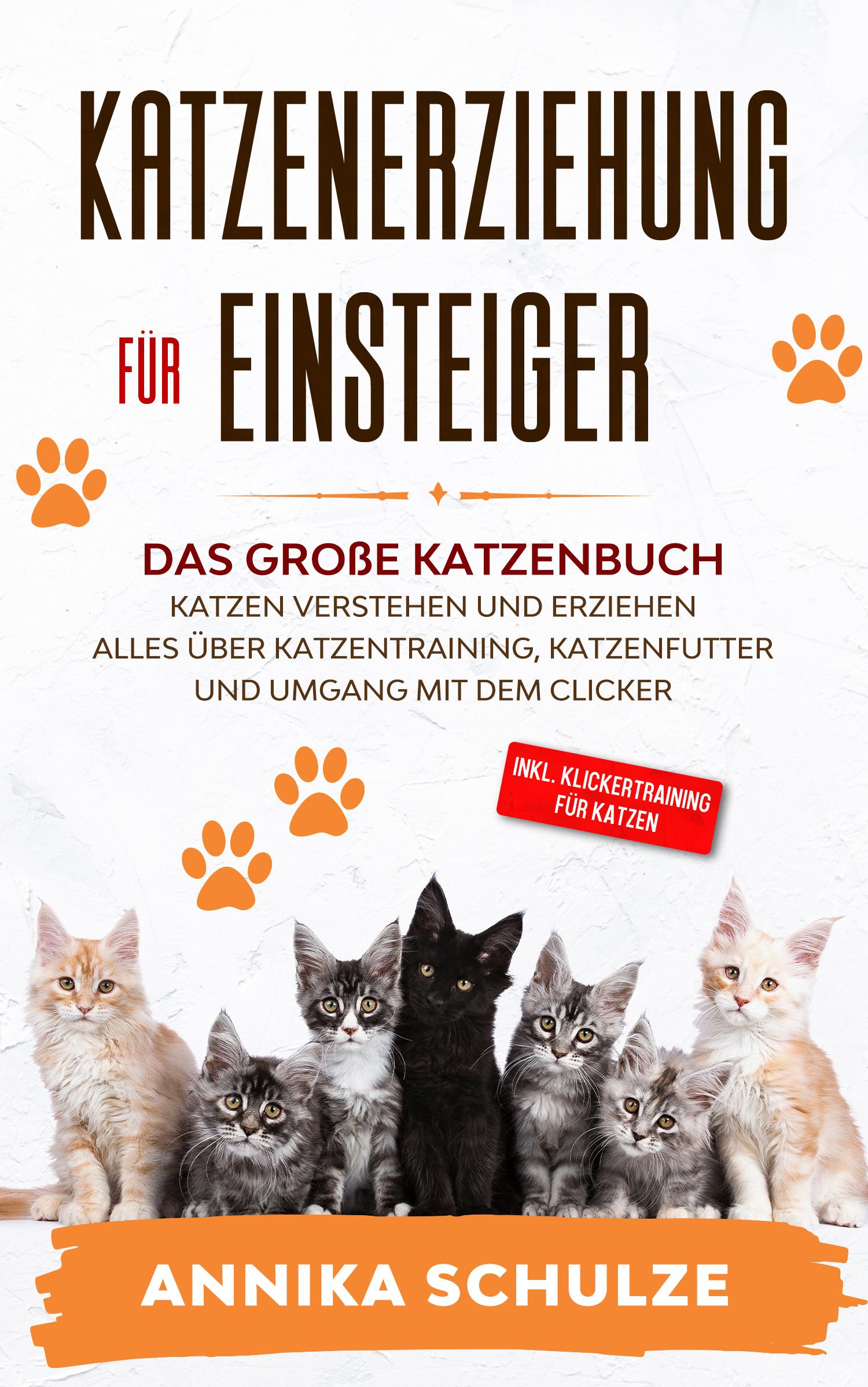 Vorderes Coverbild Katzenerziehung für Einsteiger
