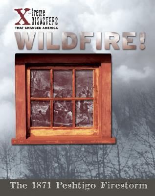 Vorderes Coverbild Wildfire!
