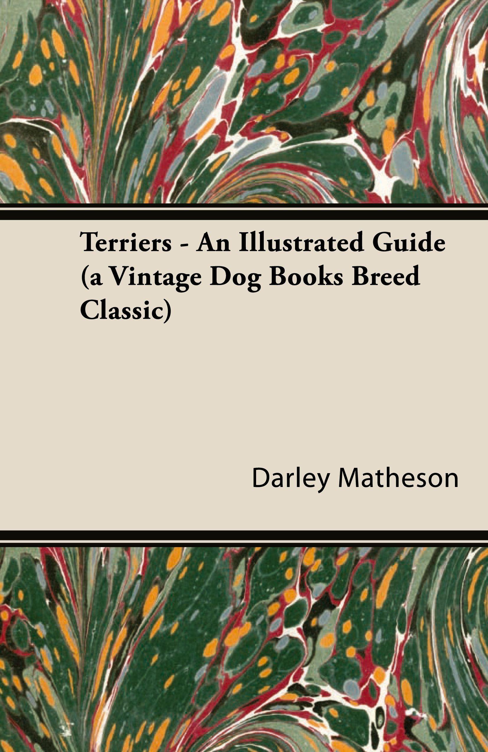 Vorderes Coverbild Terriers - An Illustrated Guide (a Vintage Dog Books Breed Classic)