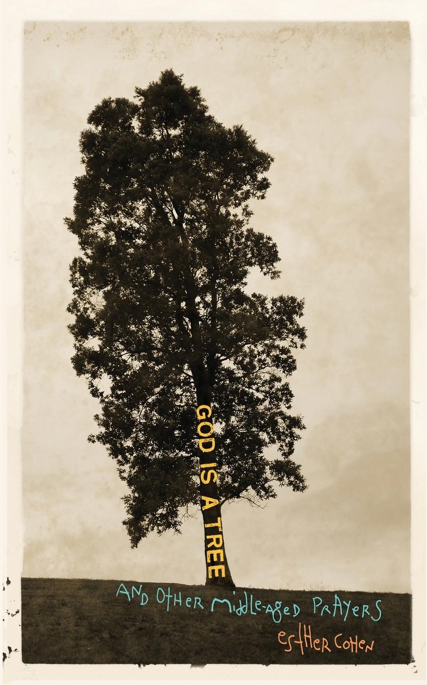 Vorderes Coverbild God Is a Tree