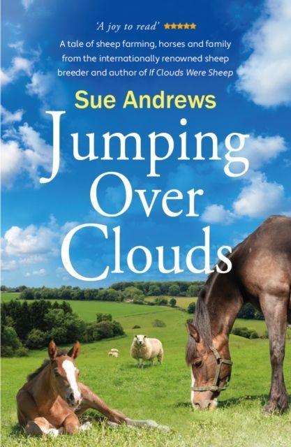 Vorderes Coverbild Jumping Over Clouds
