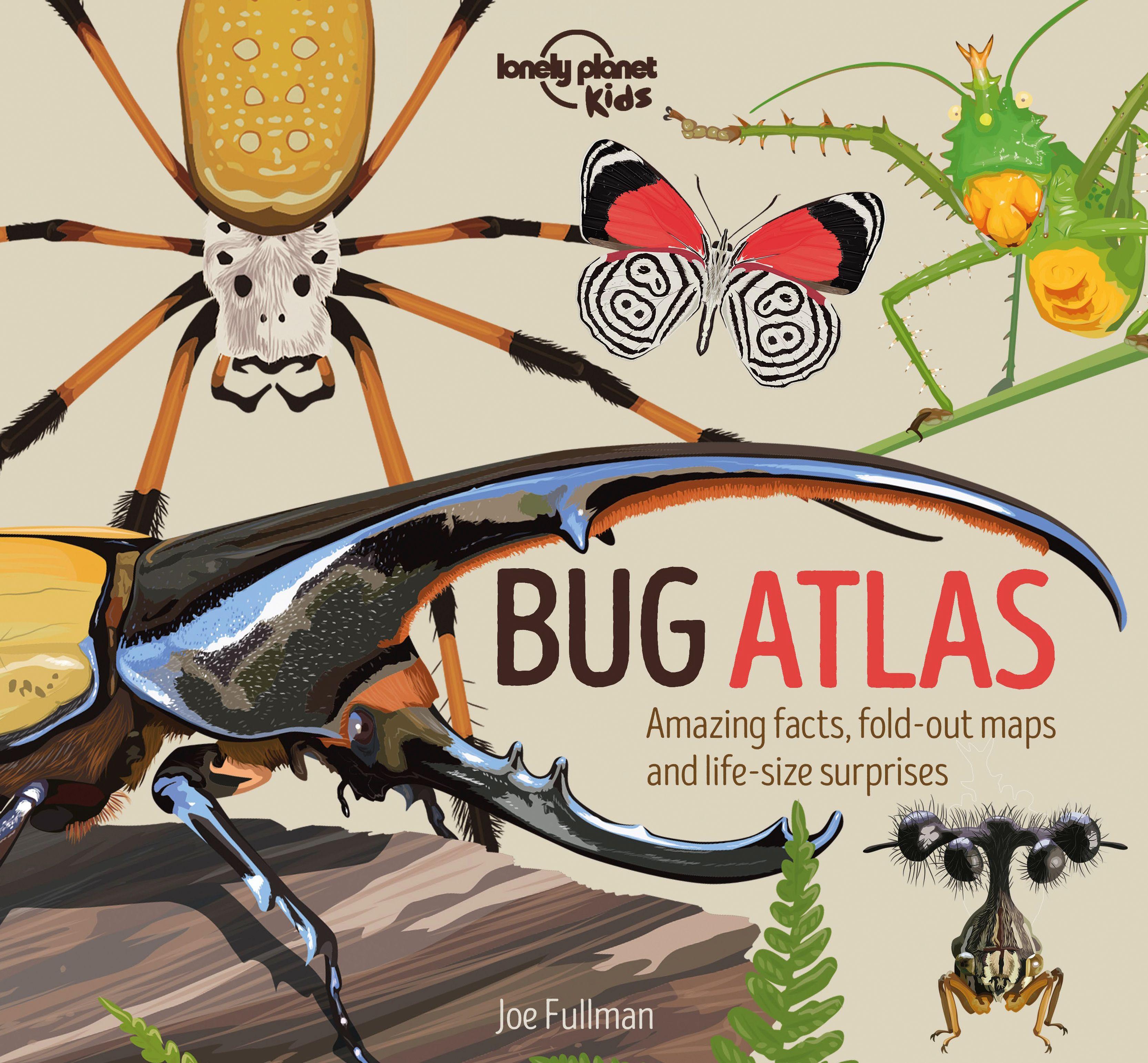 Vorderes Coverbild Lonely Planet Kids Bug Atlas