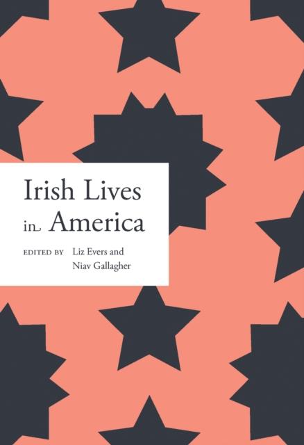 Vorderes Coverbild Irish lives in America