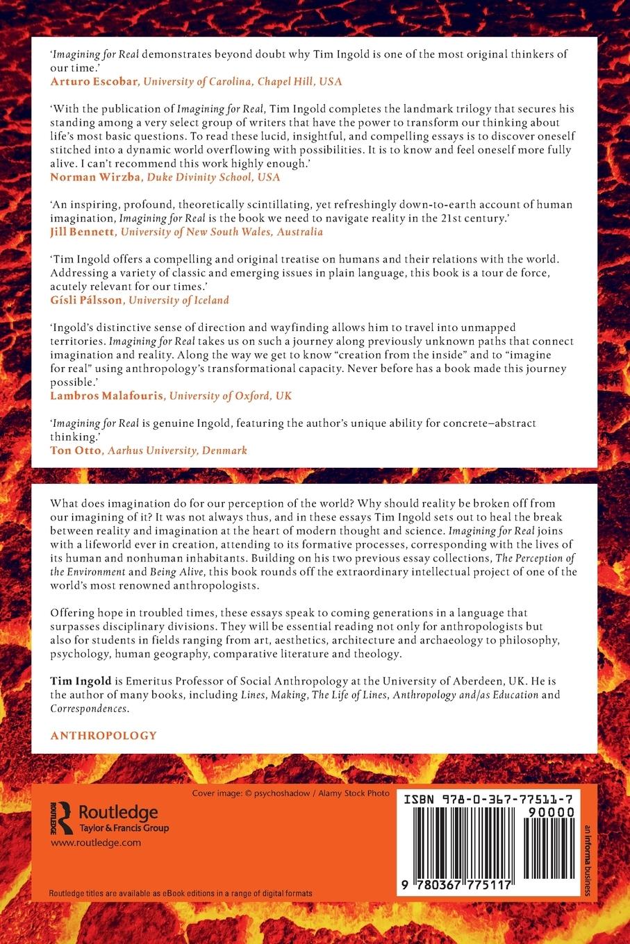 Rückseitencover Imagining for Real