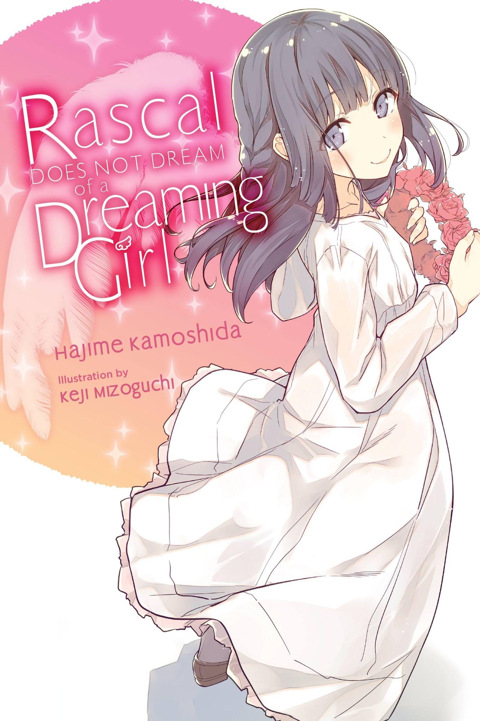 Vorderes Coverbild Rascal Does Not Dream of a Dreaming Girl (Light Novel)