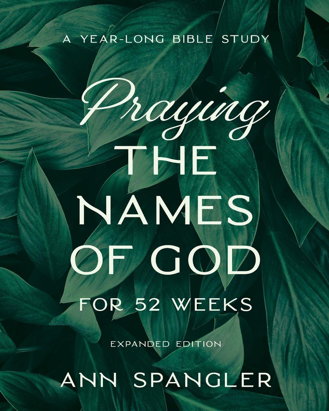 Vorderes Coverbild Praying the Names of God for 52 Weeks, Expanded Edition
