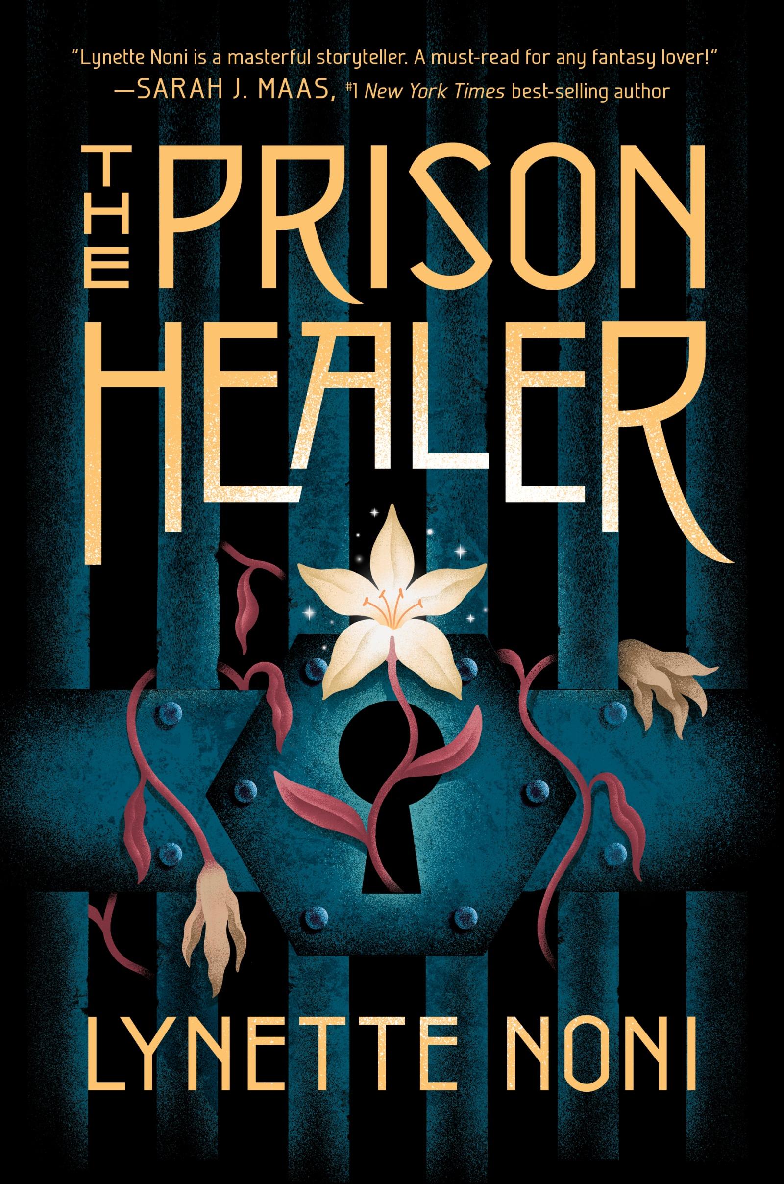 Vorderes Coverbild The Prison Healer