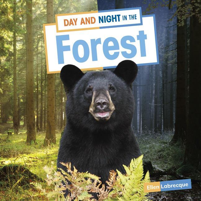 Vorderes Coverbild Day and Night in the Forest